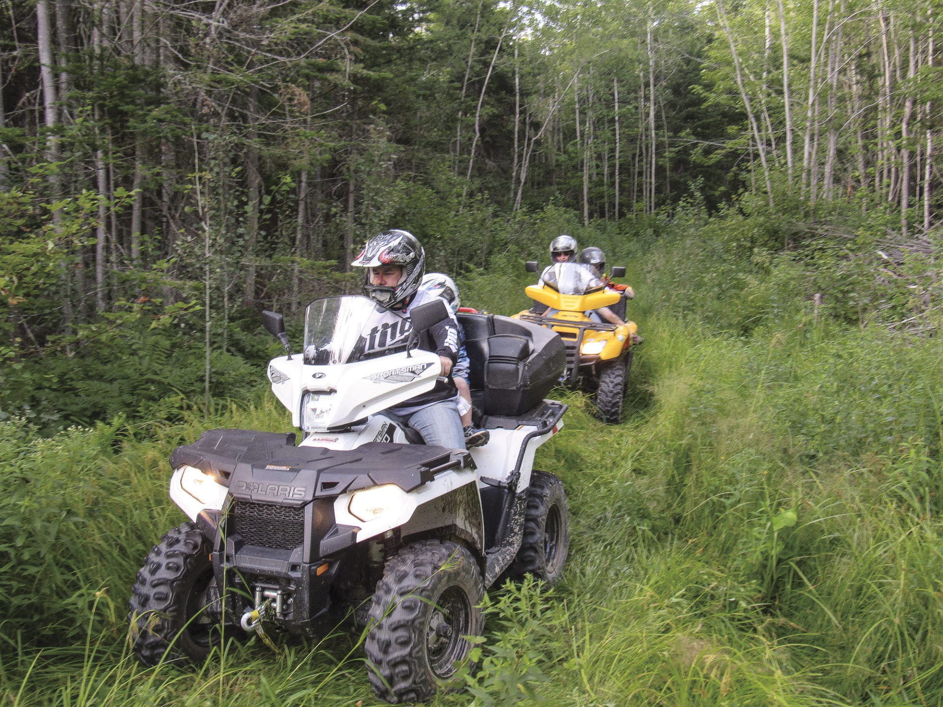 Quad Comme Activité Familiale