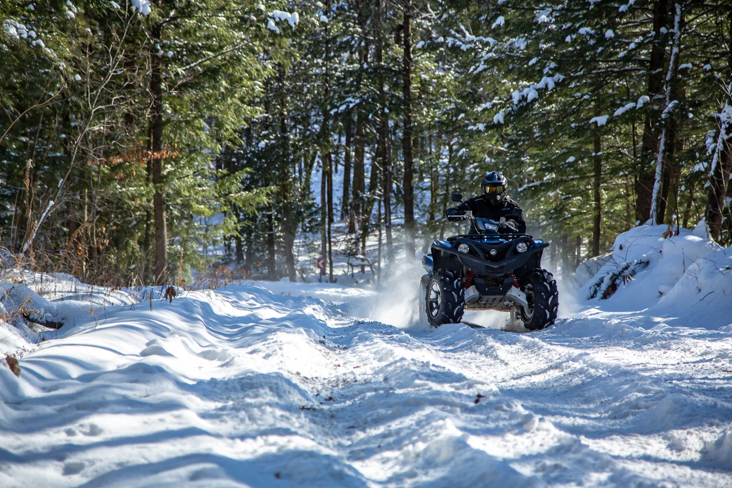 Yamaha Grizzly EPS SE 2019 Essai