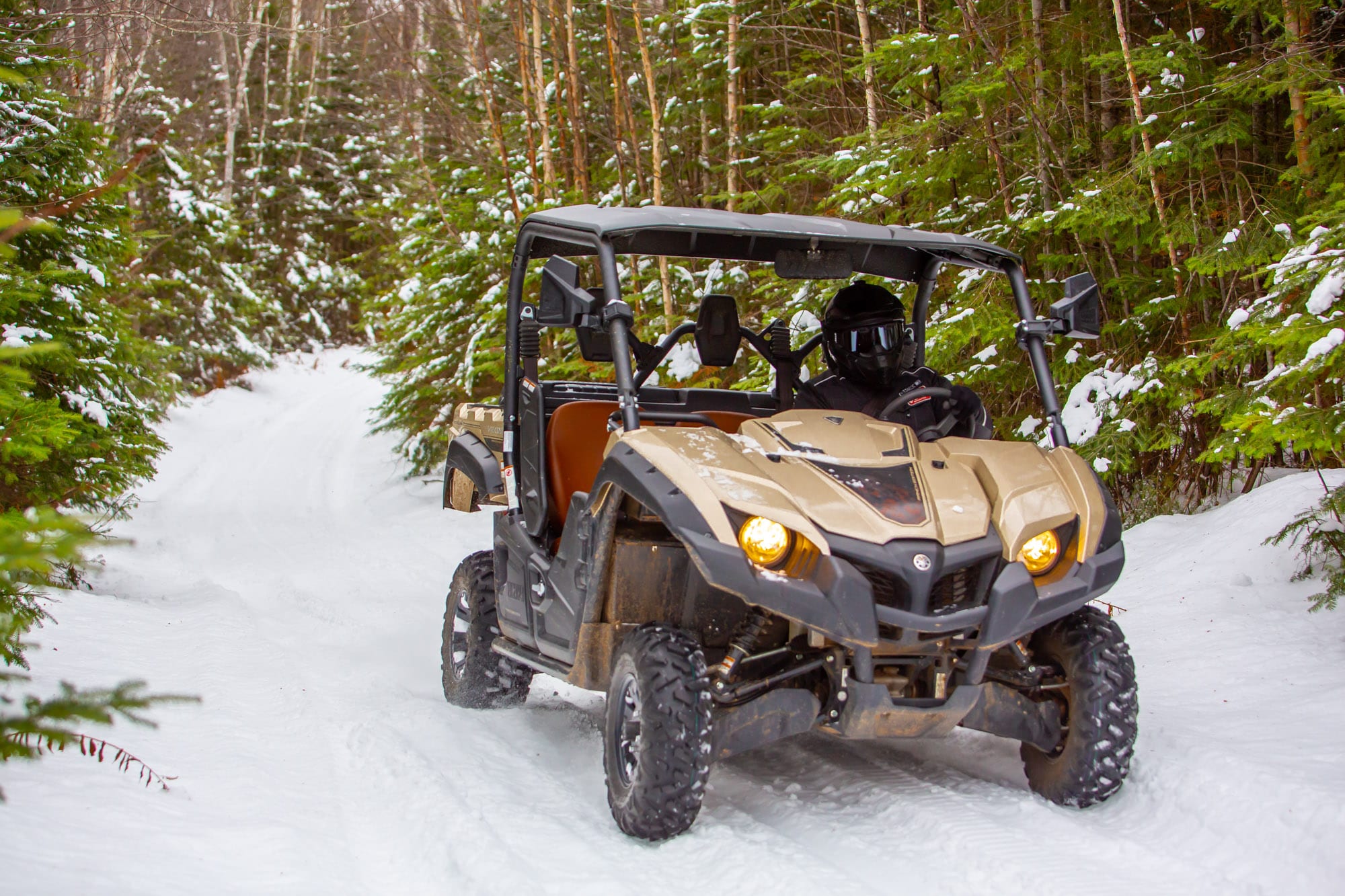 Yamaha Viking Ranch Edition 2020 Essai