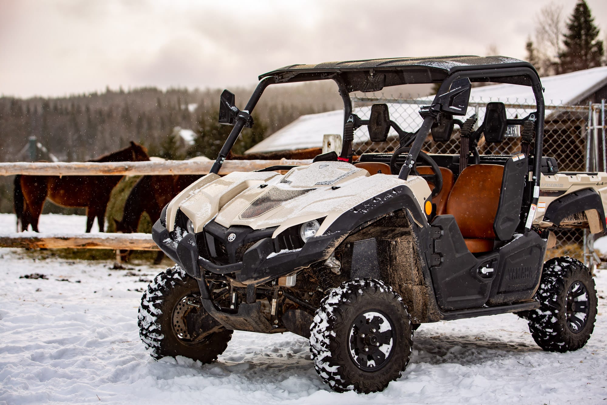 Yamaha Viking Ranch Edition 2020 Essai