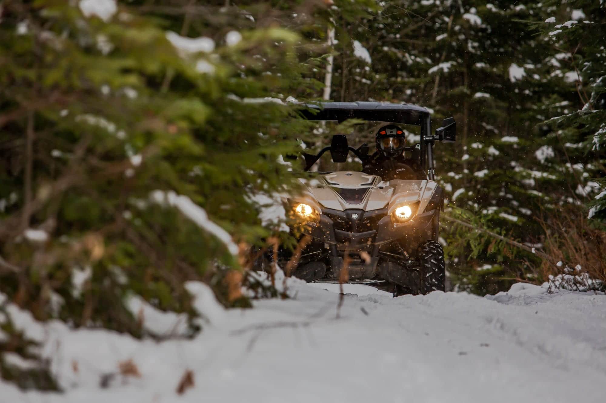 Yamaha Viking Ranch Edition 2020 Essai