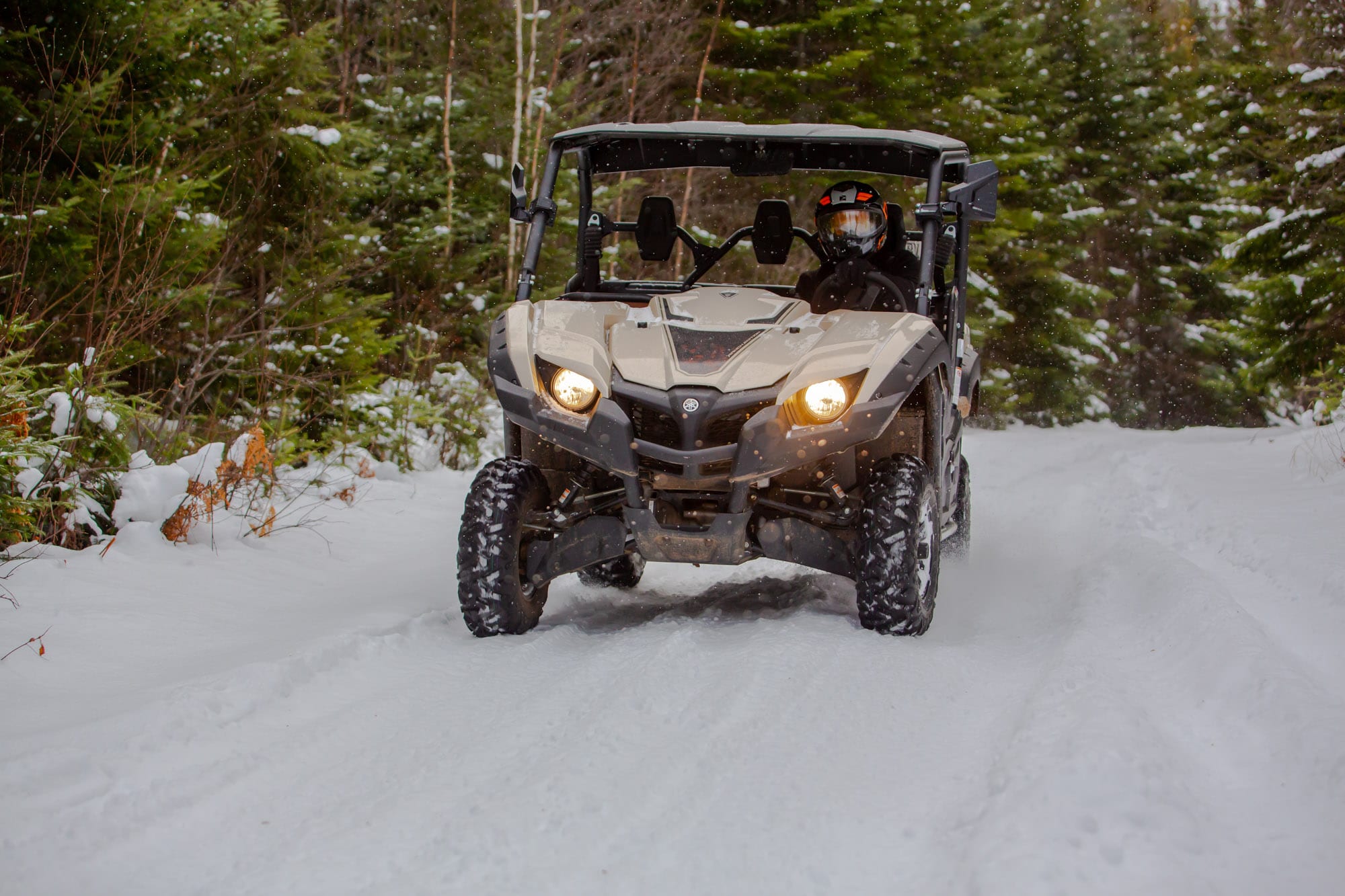 Yamaha Viking Ranch Edition 2020 Essai