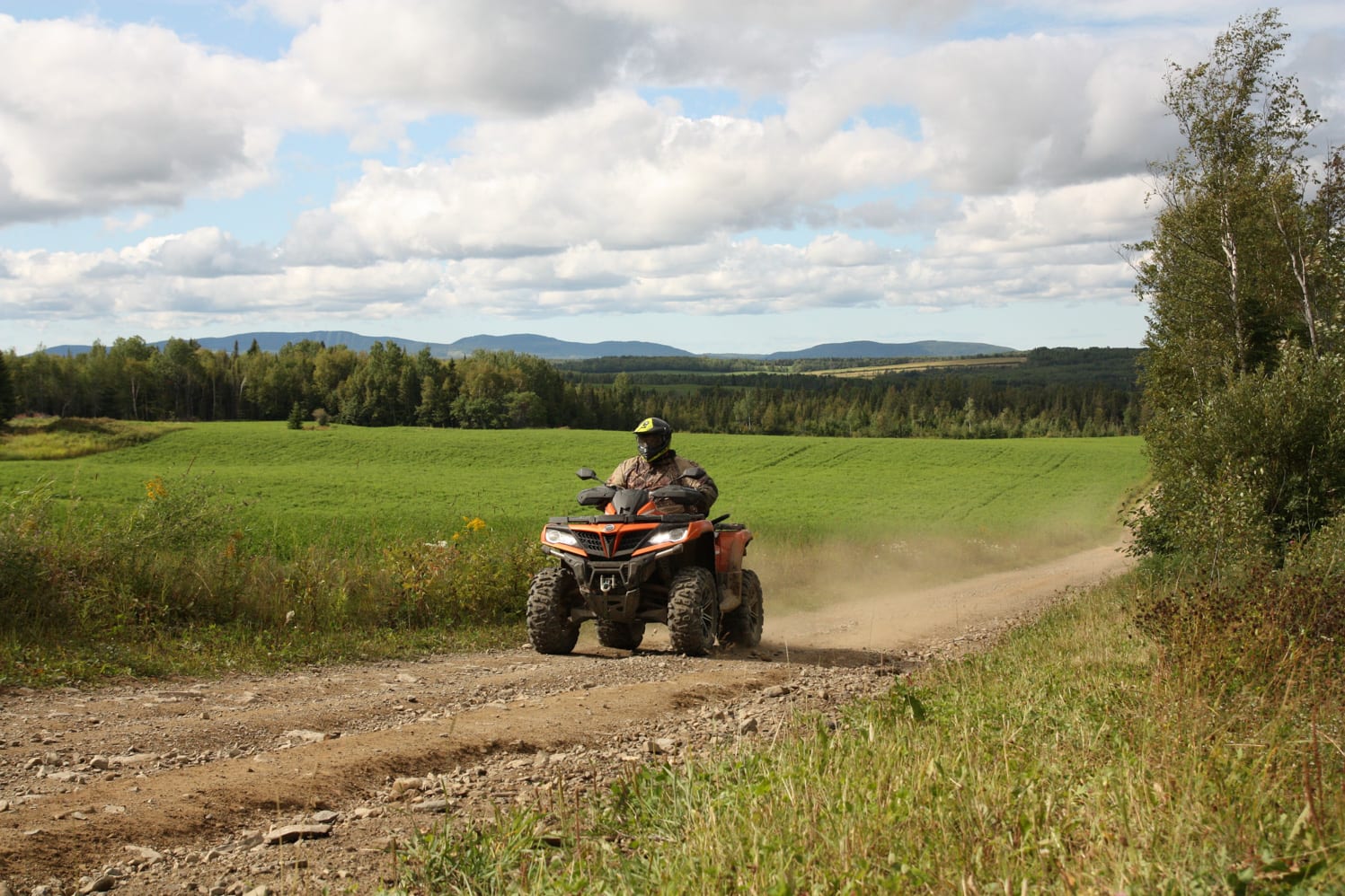 Le quad, le Covid-19 et Darwin