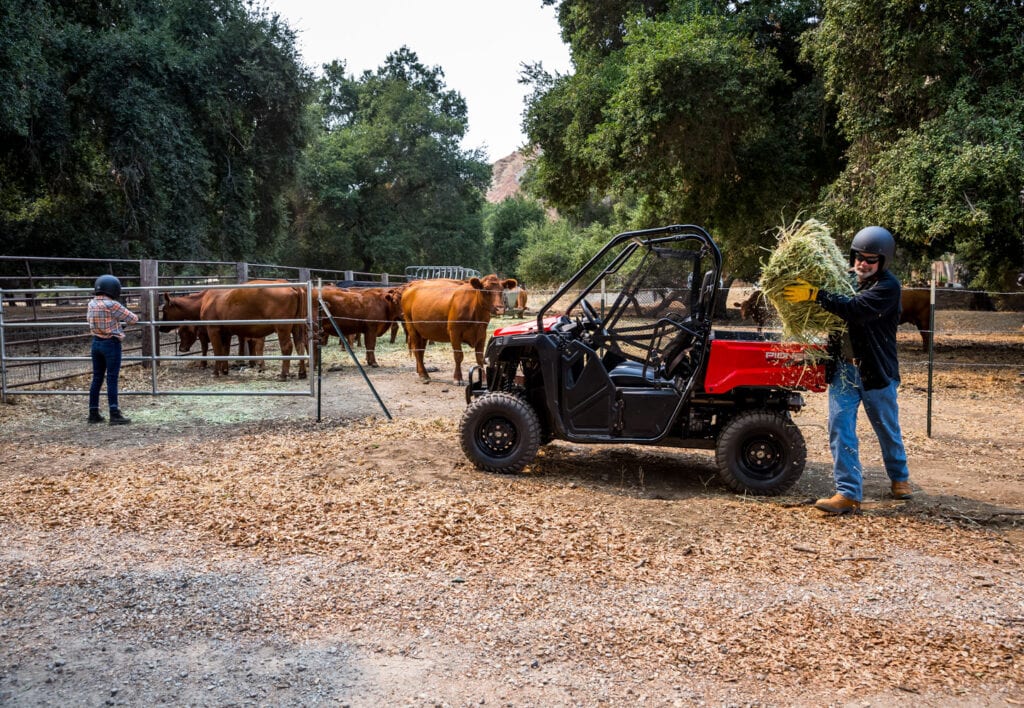 Honda Pioneer 520 2021