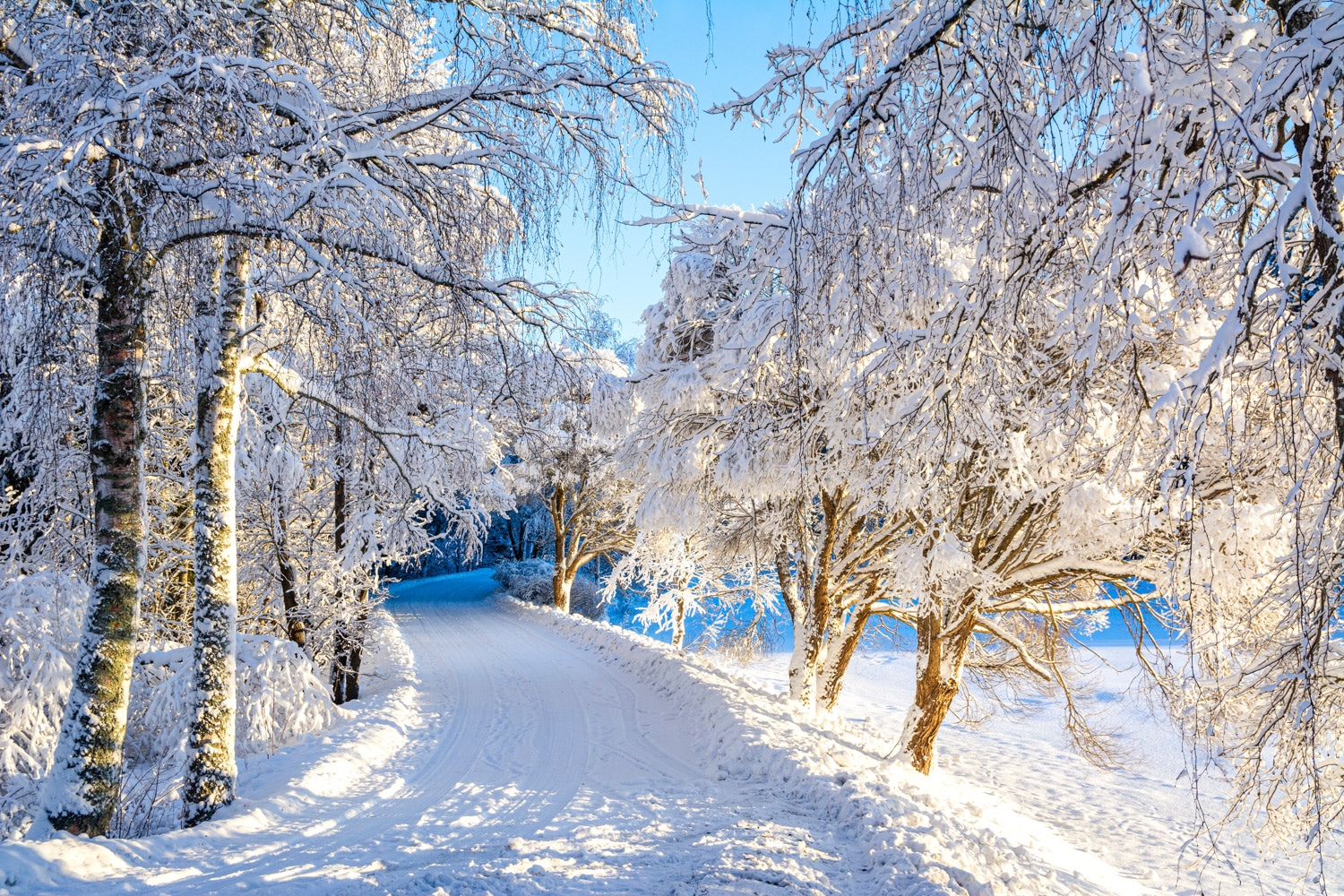 L’éternel dilemme du surfaçage hivernal des sentiers