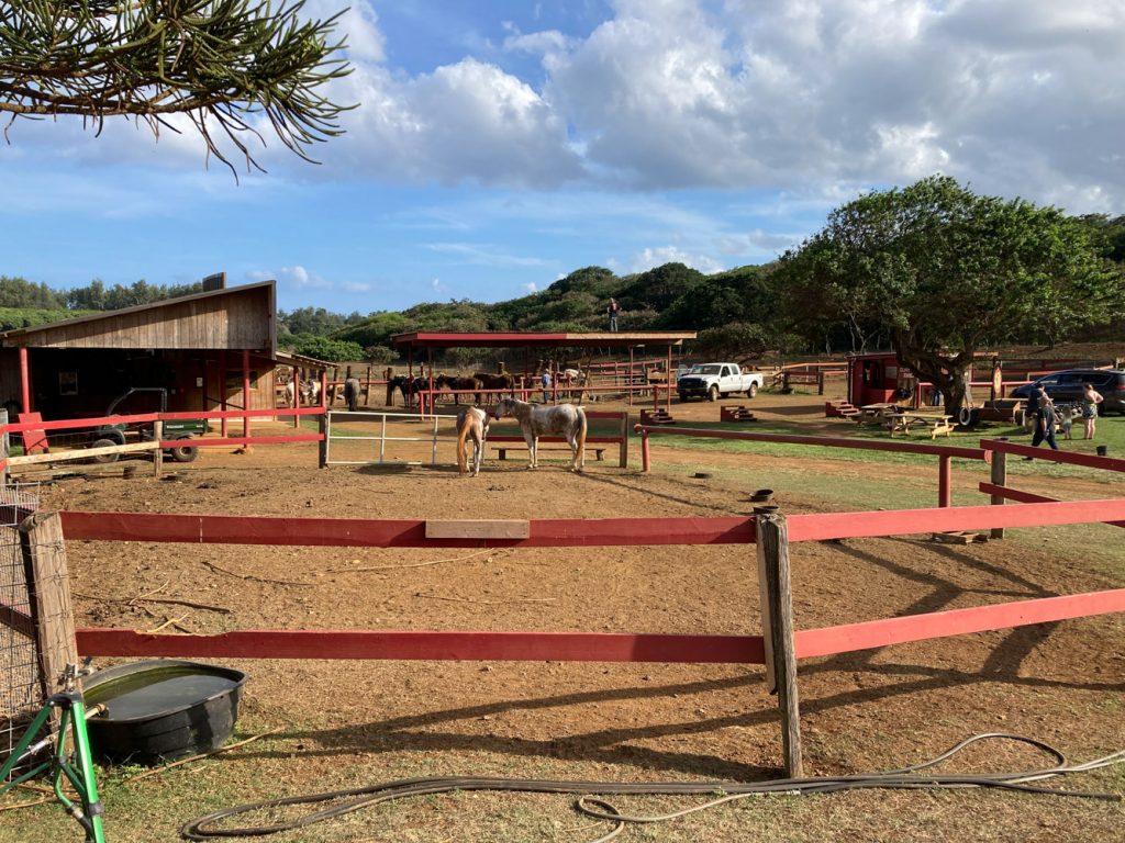 Gunstock Ranch à Oahu: des airs texans à Hawaï