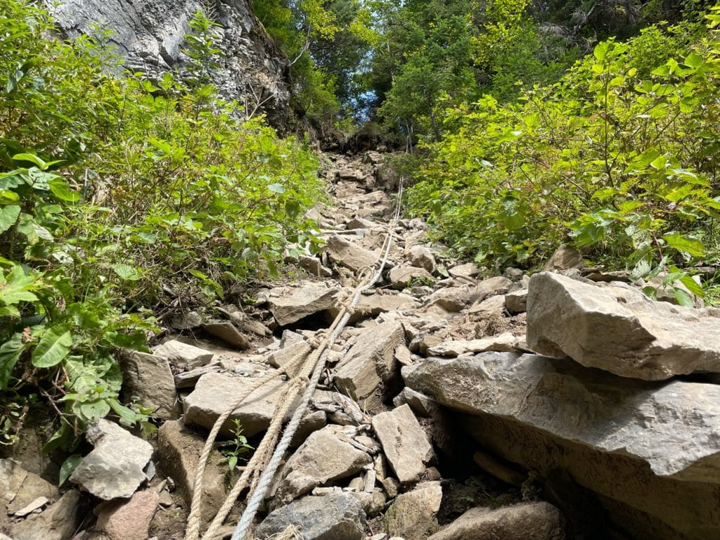 TRAVERSER-TERRE-NEUVE-EN-VTT-(DEUXIÈME-PARTIE)