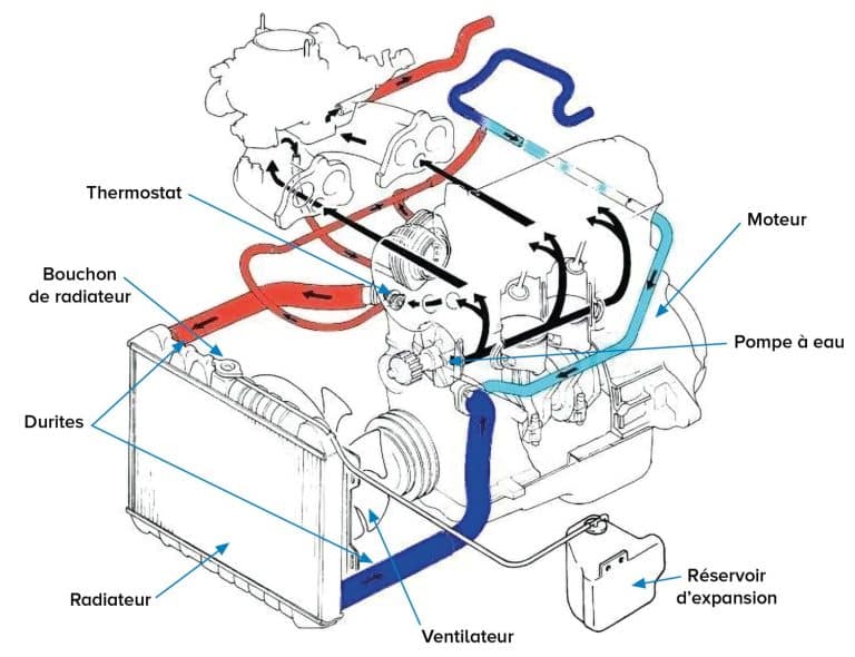 Les Composantes Du Syst me De Refroidissement D un Quad Plan te Quad les-composantes-du-syst-me-de-refroidissement-d-un-quad-plan-te-quad
