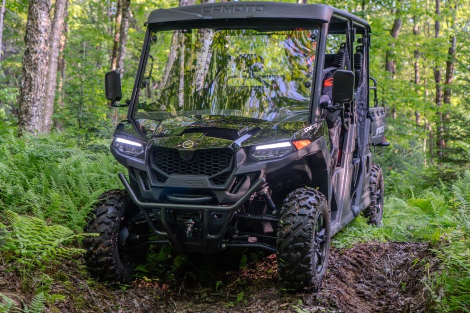 Parfait pour les aventures en forêt !