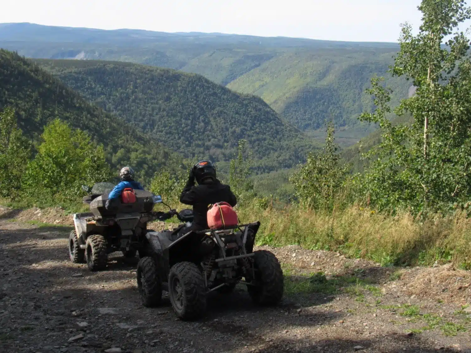 Photo 3 – grande taille