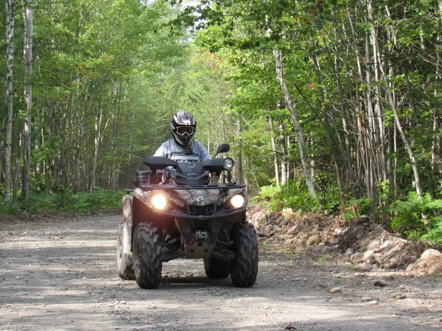 Photo 4 – grande taille