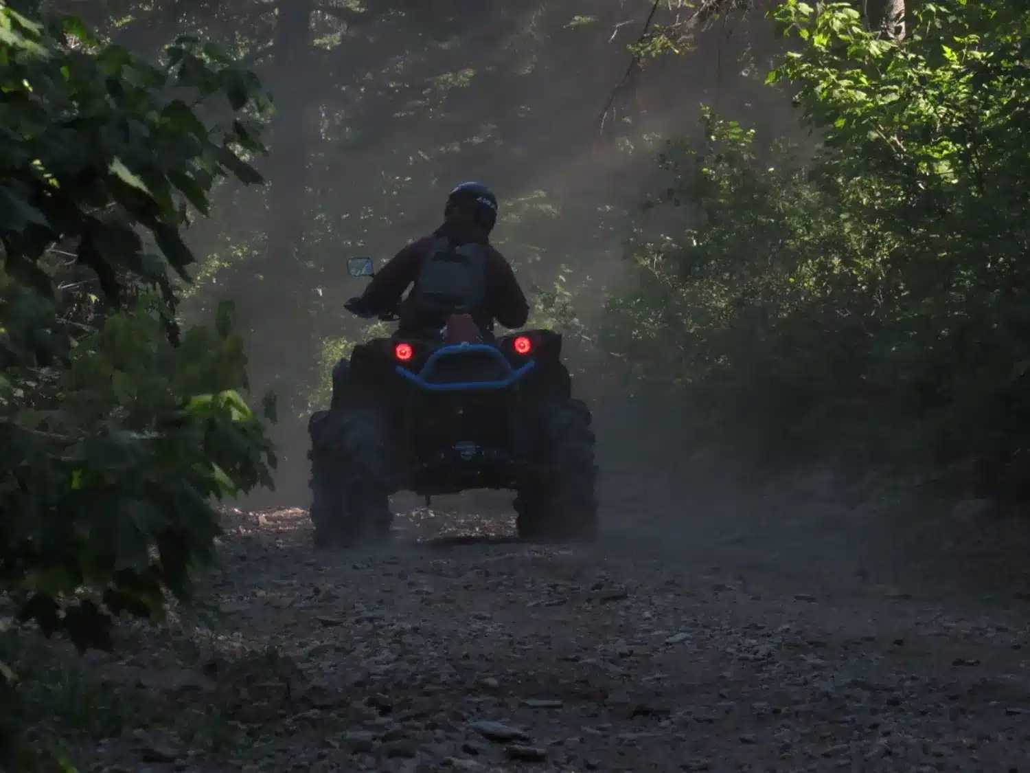 Photo 6 – grande taille