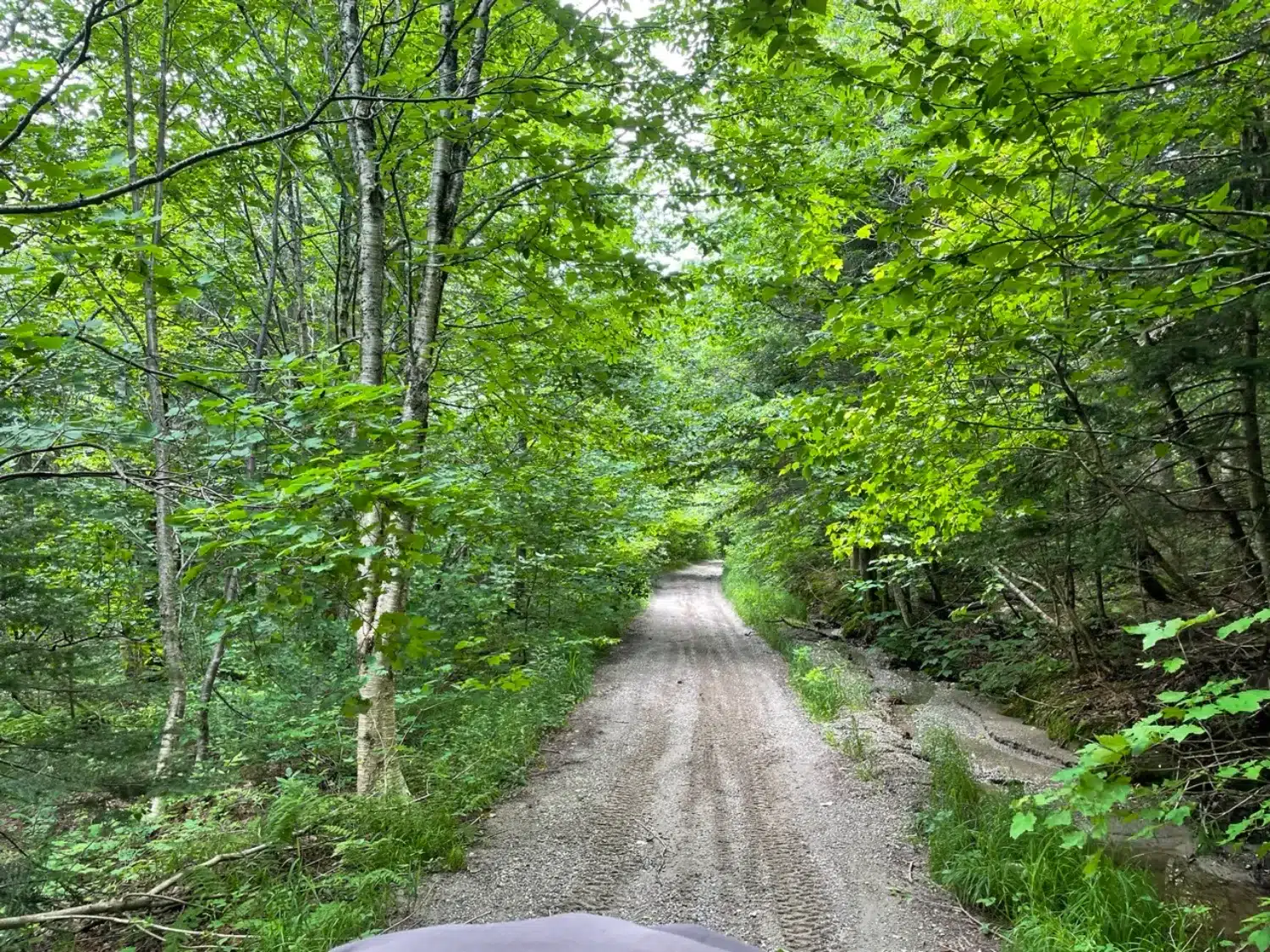 Photo_11 – grande taille