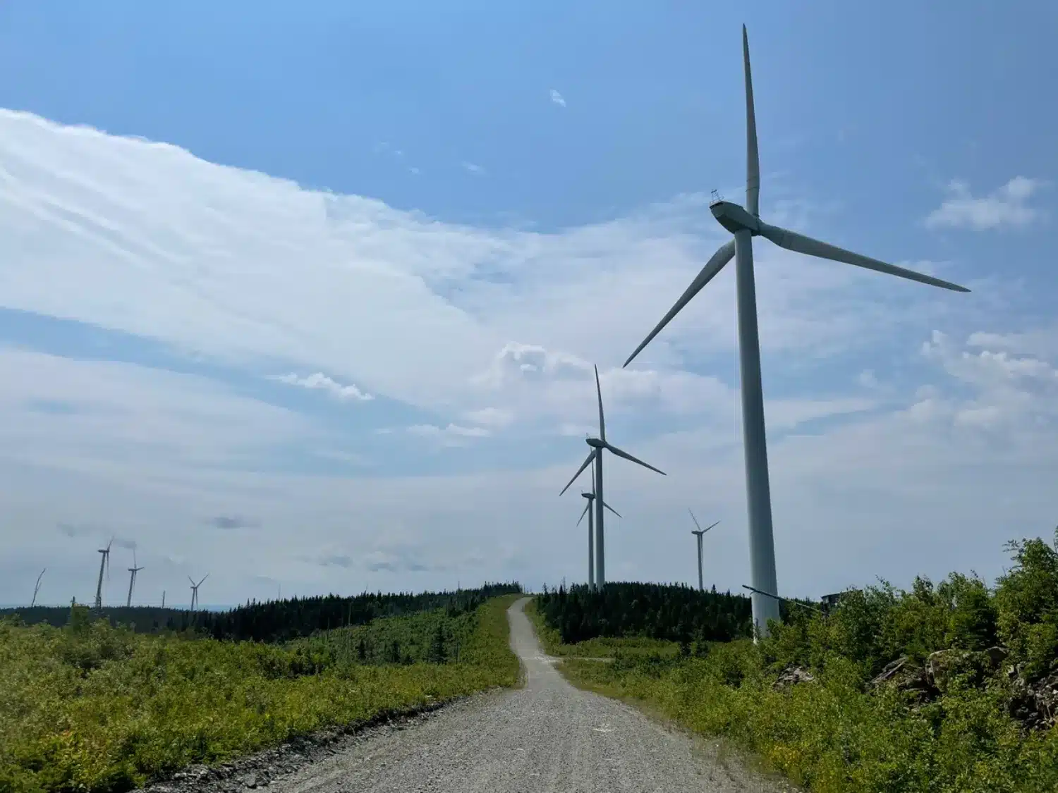 Photo_12 – grande taille