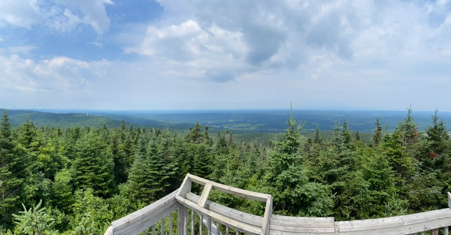 Photo_4 – grande taille