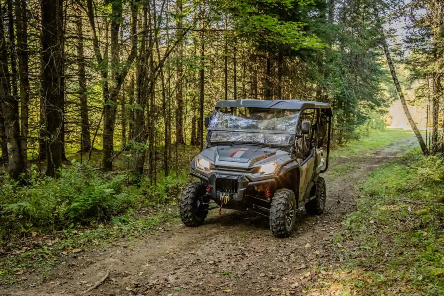 BF7A9448 – grande taille