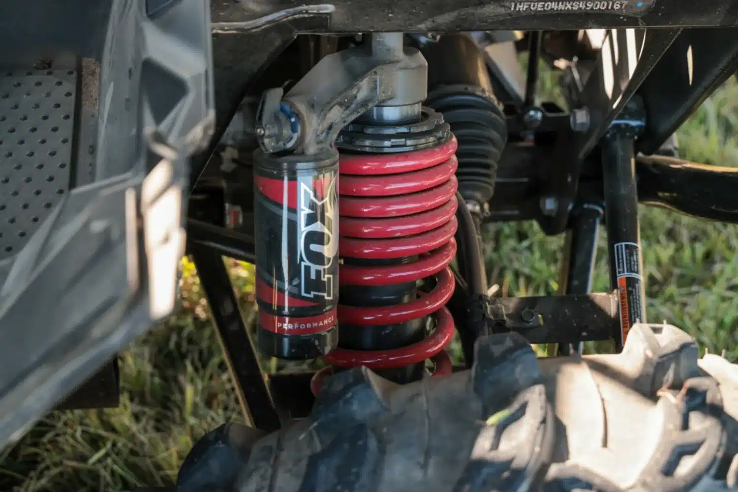 DBMI1454 – grande taille