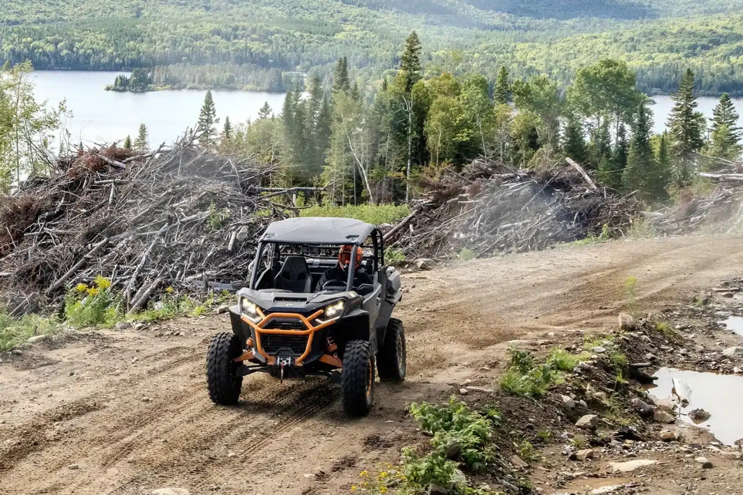 Photo 11 – grande taille