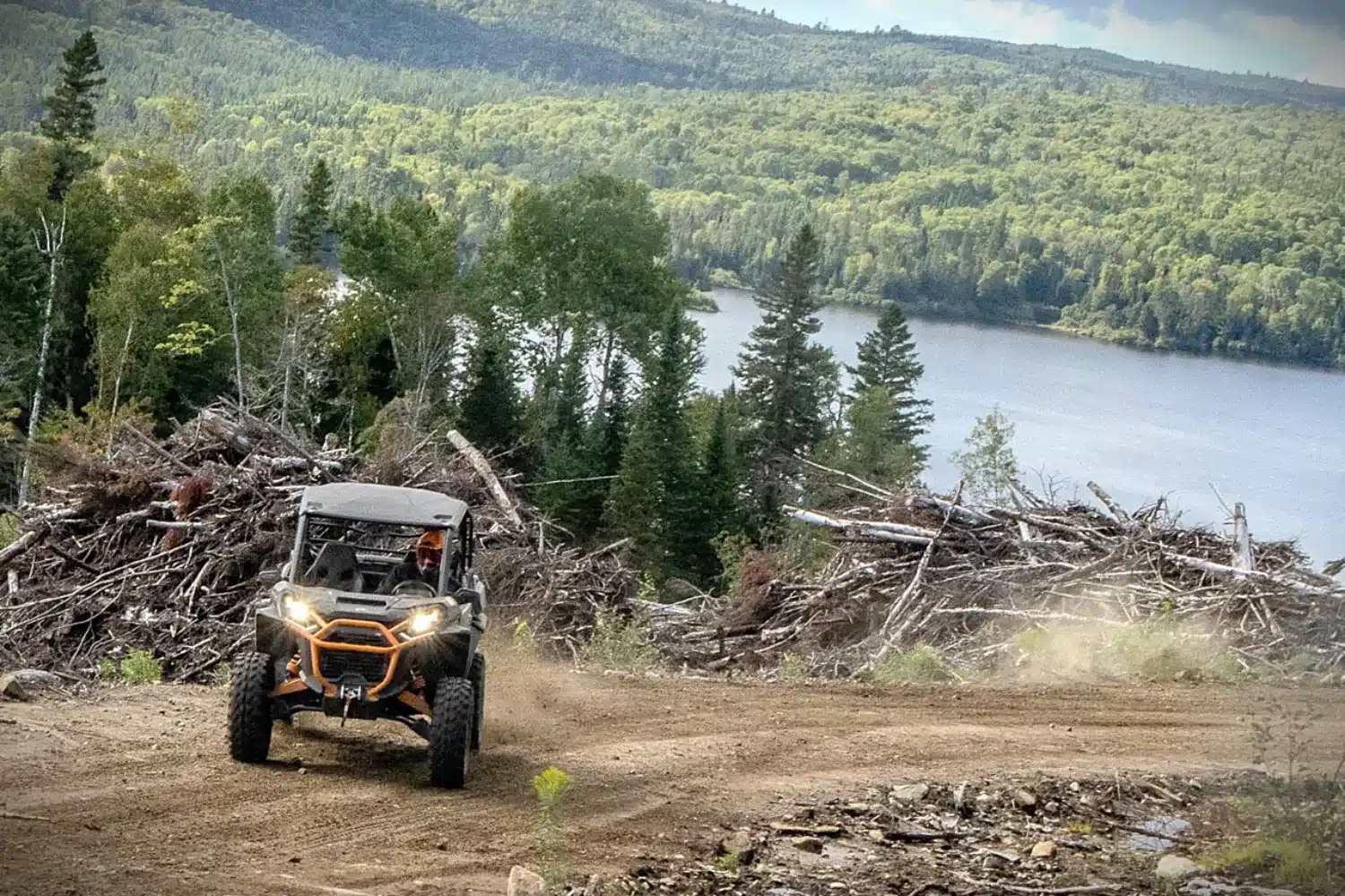 Photo 12 – grande taille