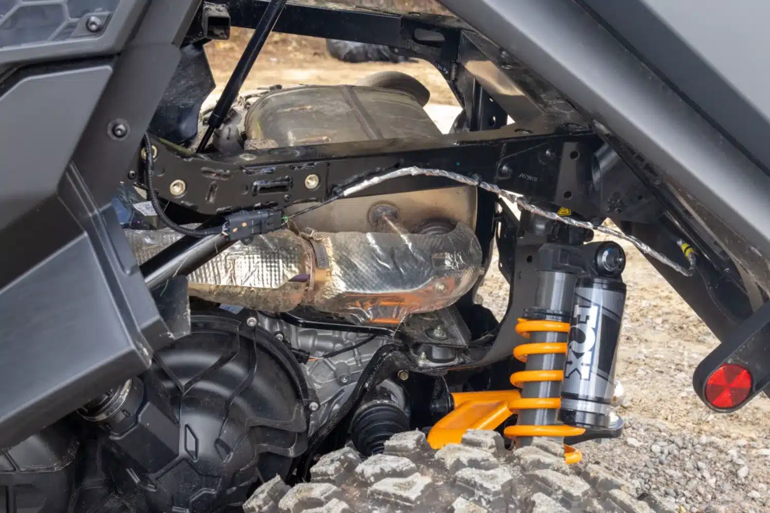 Photo 4 – grande taille