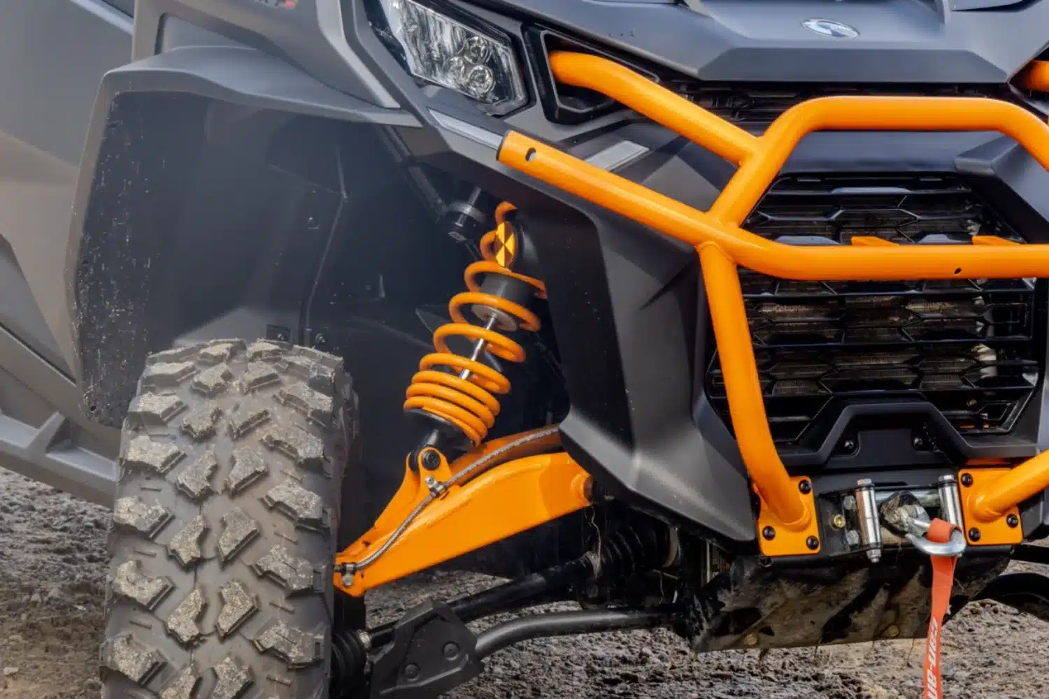 Photo 7 – grande taille