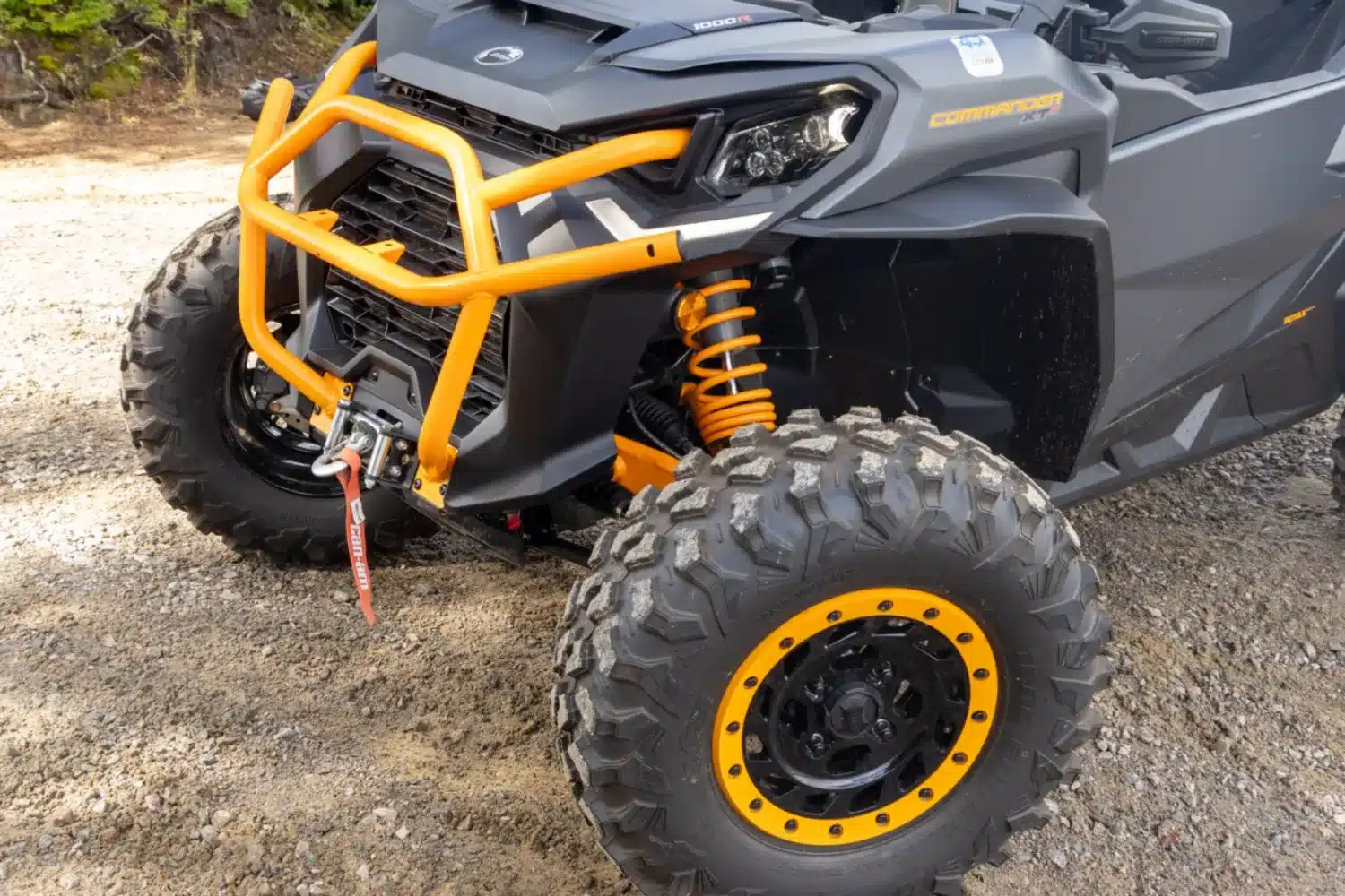 Photo 8.5 – grande taille