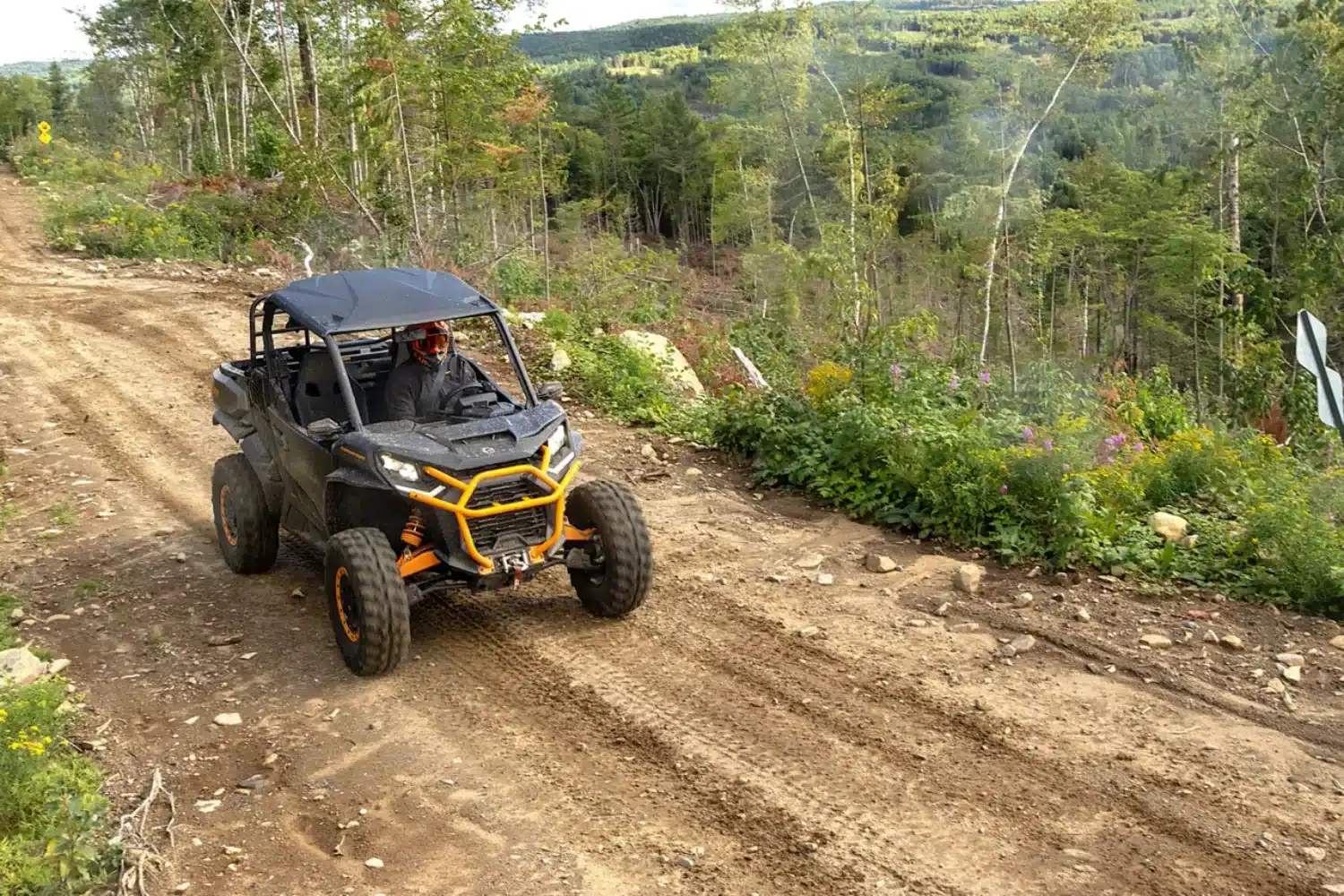 Photo 9 – grande taille