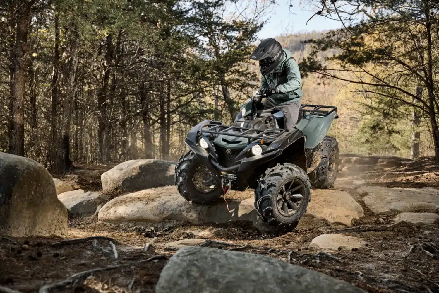 Photo1_Grizzly – grande taille