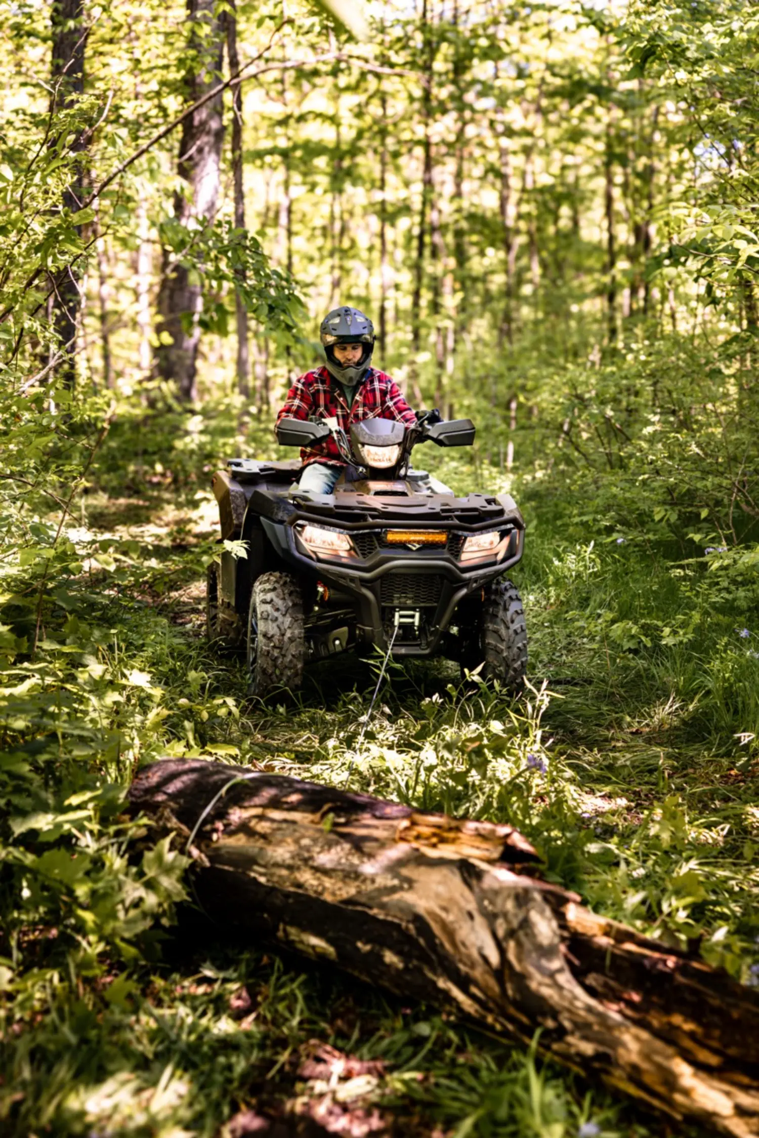 Photo2_KingQuad – grande taille