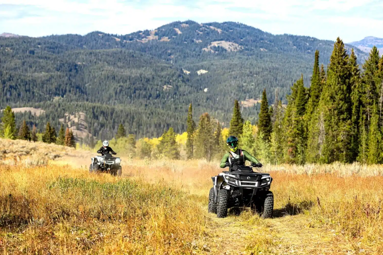 Photo 12 – grande taille