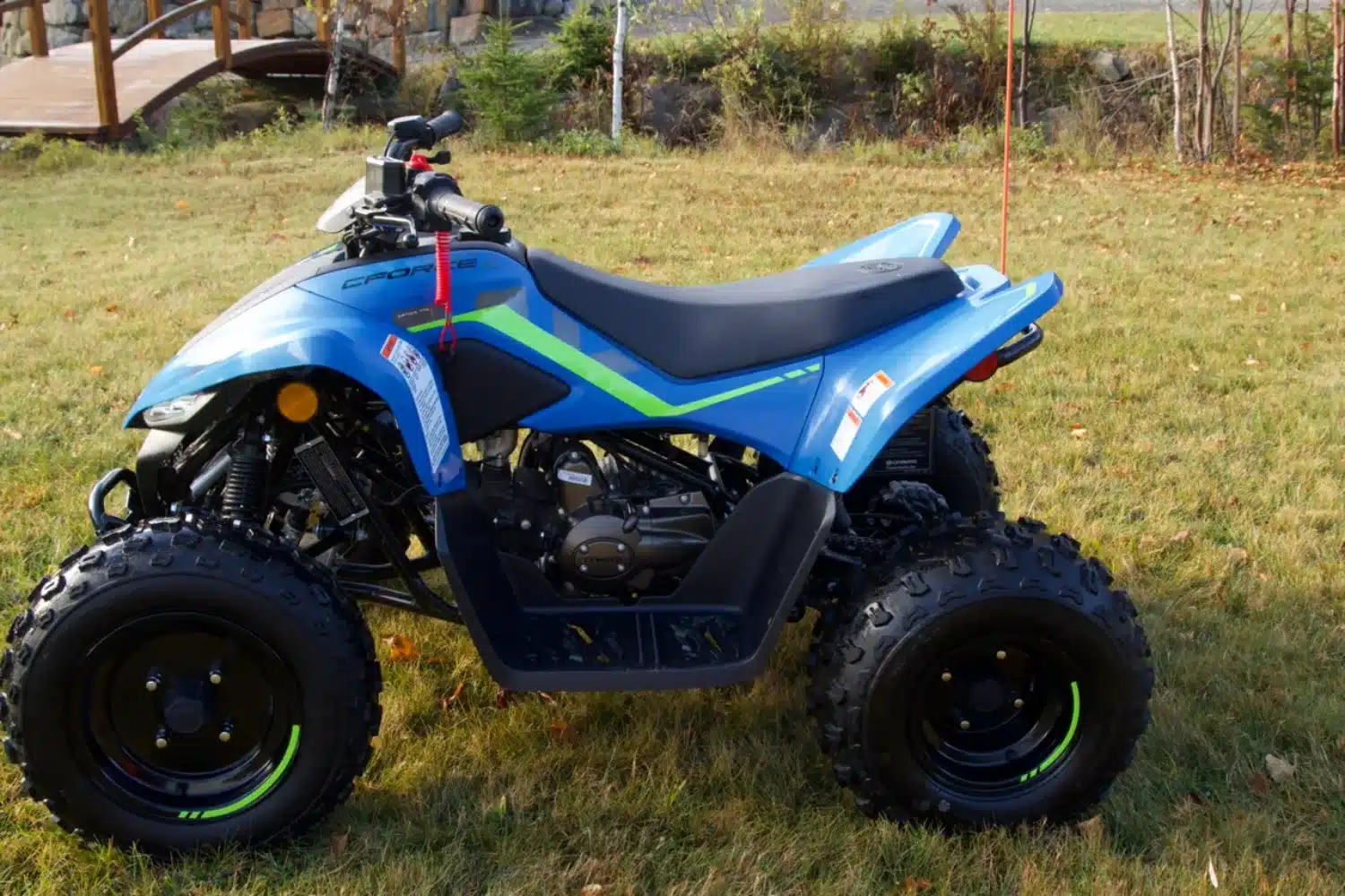 Photo 16 – grande taille