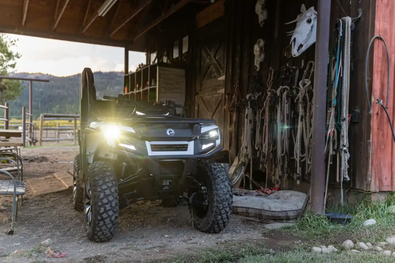 Photo 2.3 – grande taille