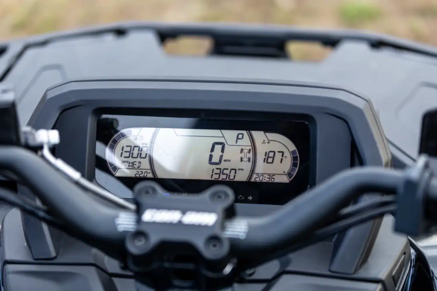 Photo 2.5 – grande taille