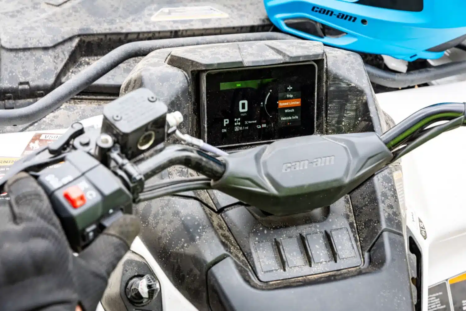 Photo 3 – grande taille