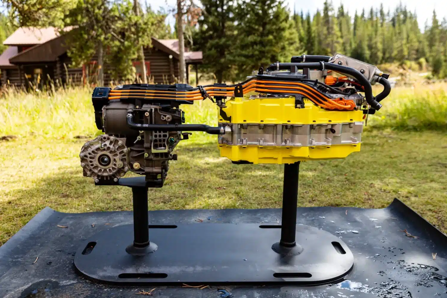 Photo 4 – grande taille