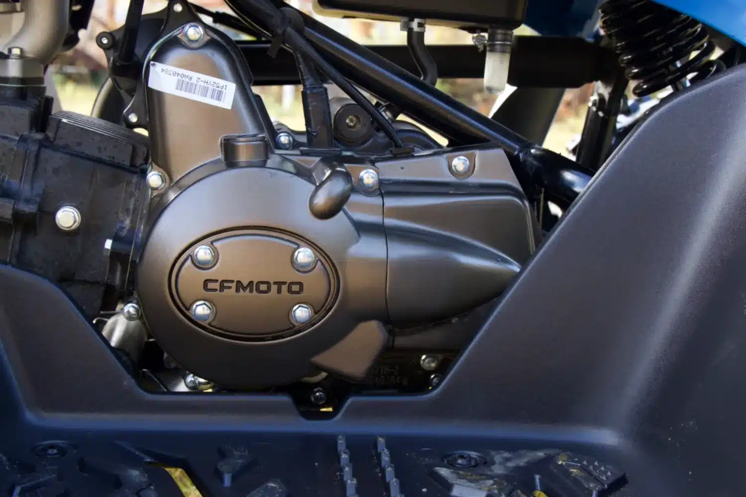 Photo 4 – grande taille