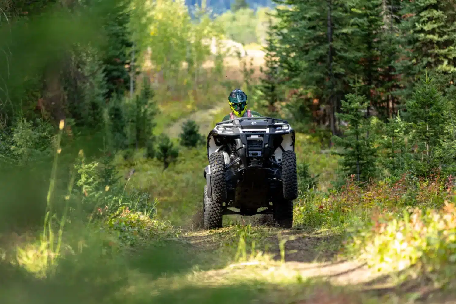 Photo 5 – grande taille