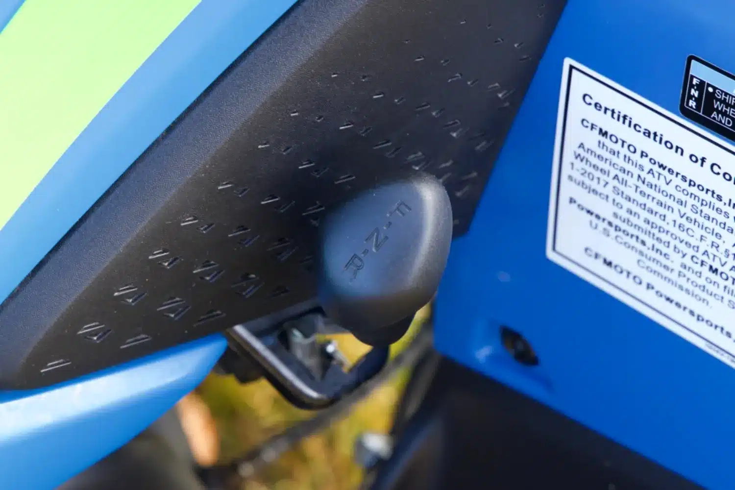 Photo 5 – grande taille