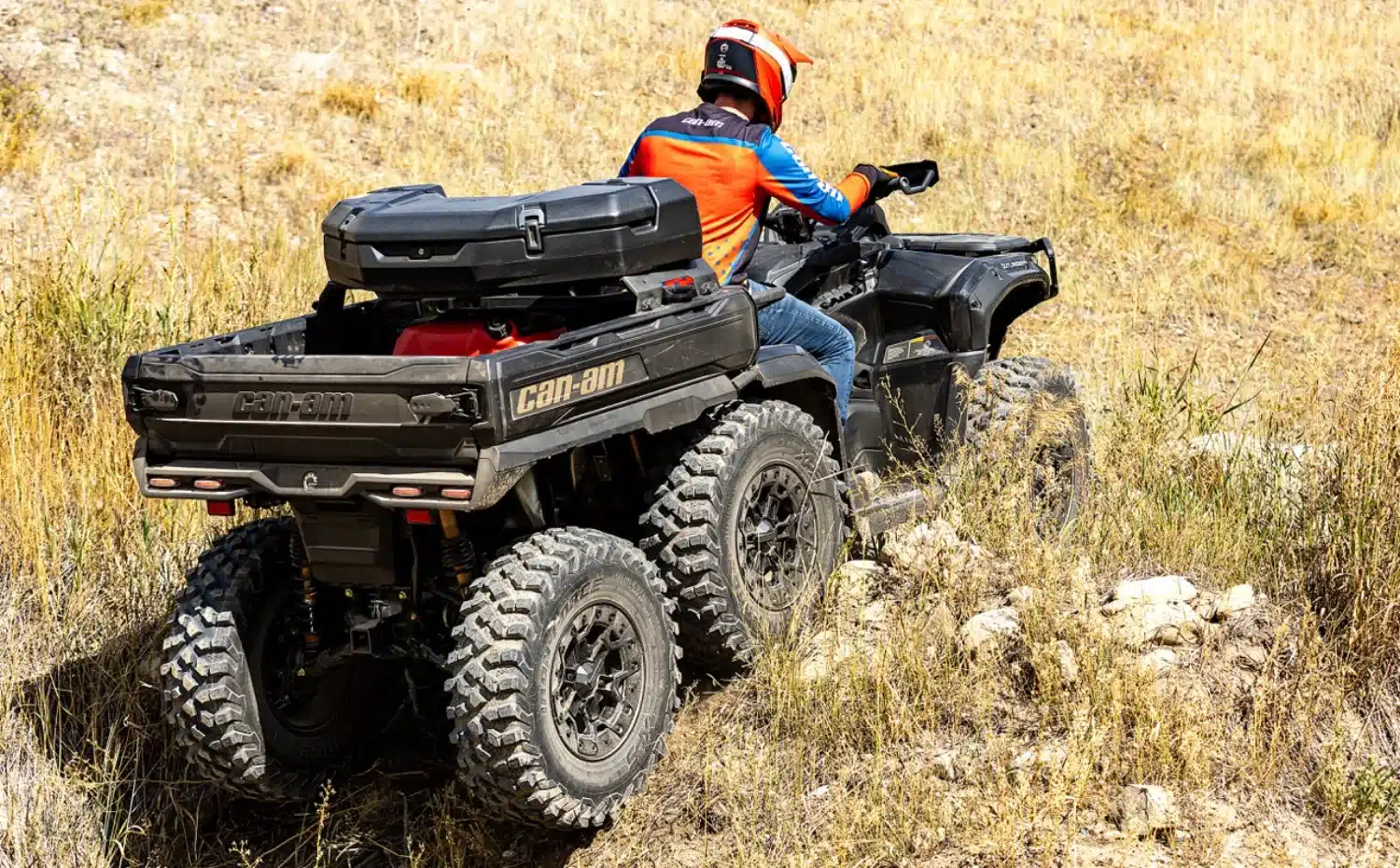 Photo 6.1 – grande taille