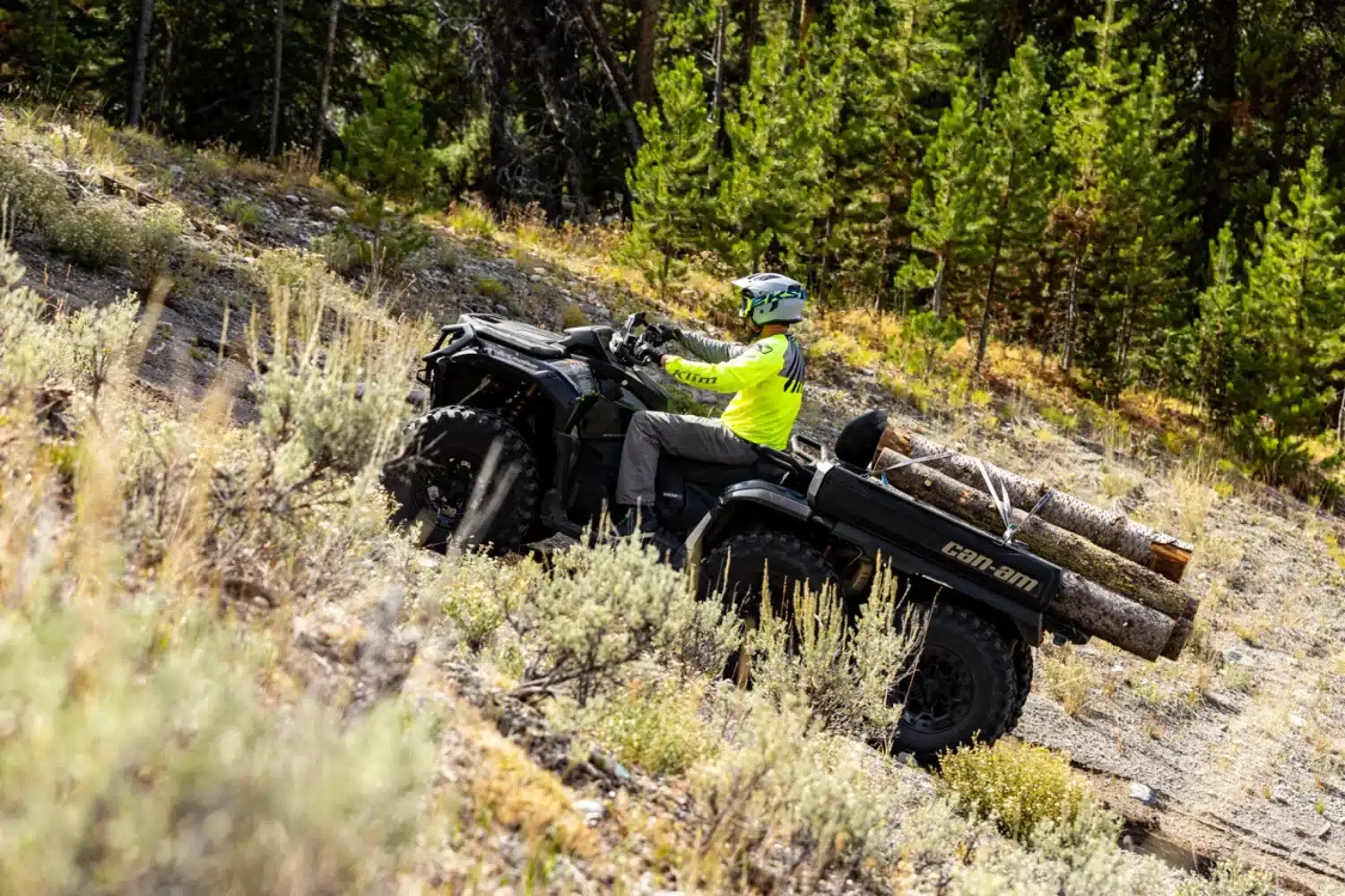 Photo 6.2 – grande taille