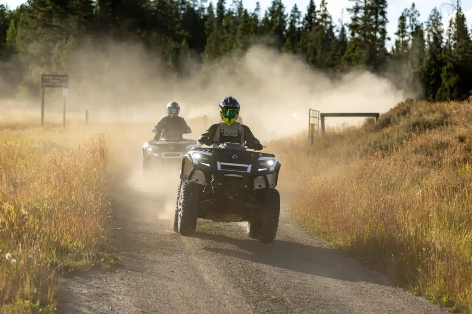 Photo 7 – grande taille