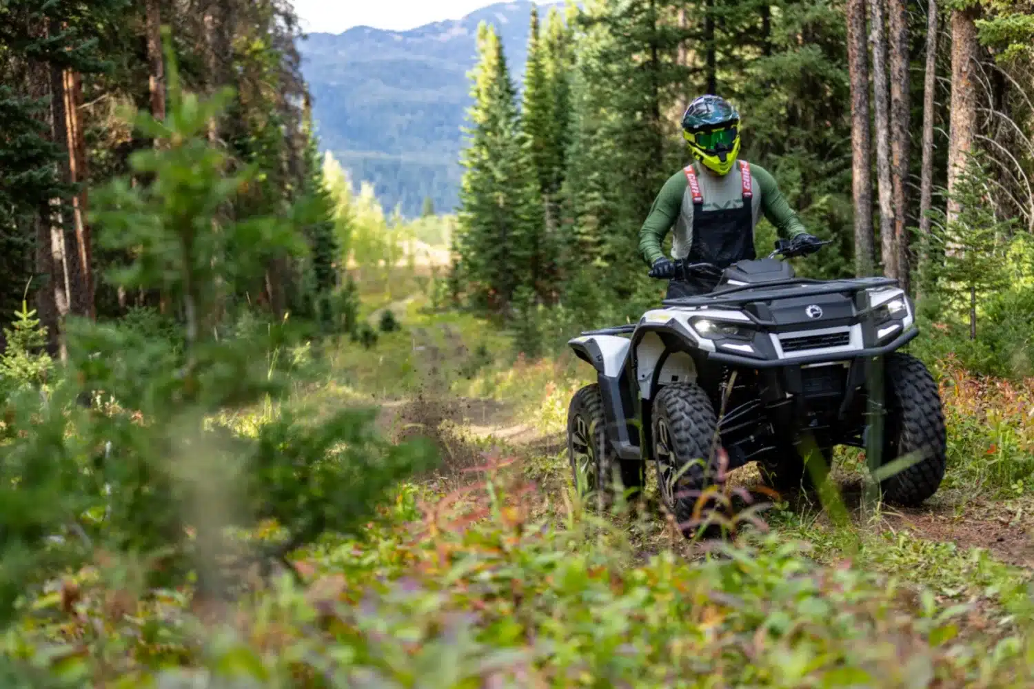 Photo 8 – grande taille