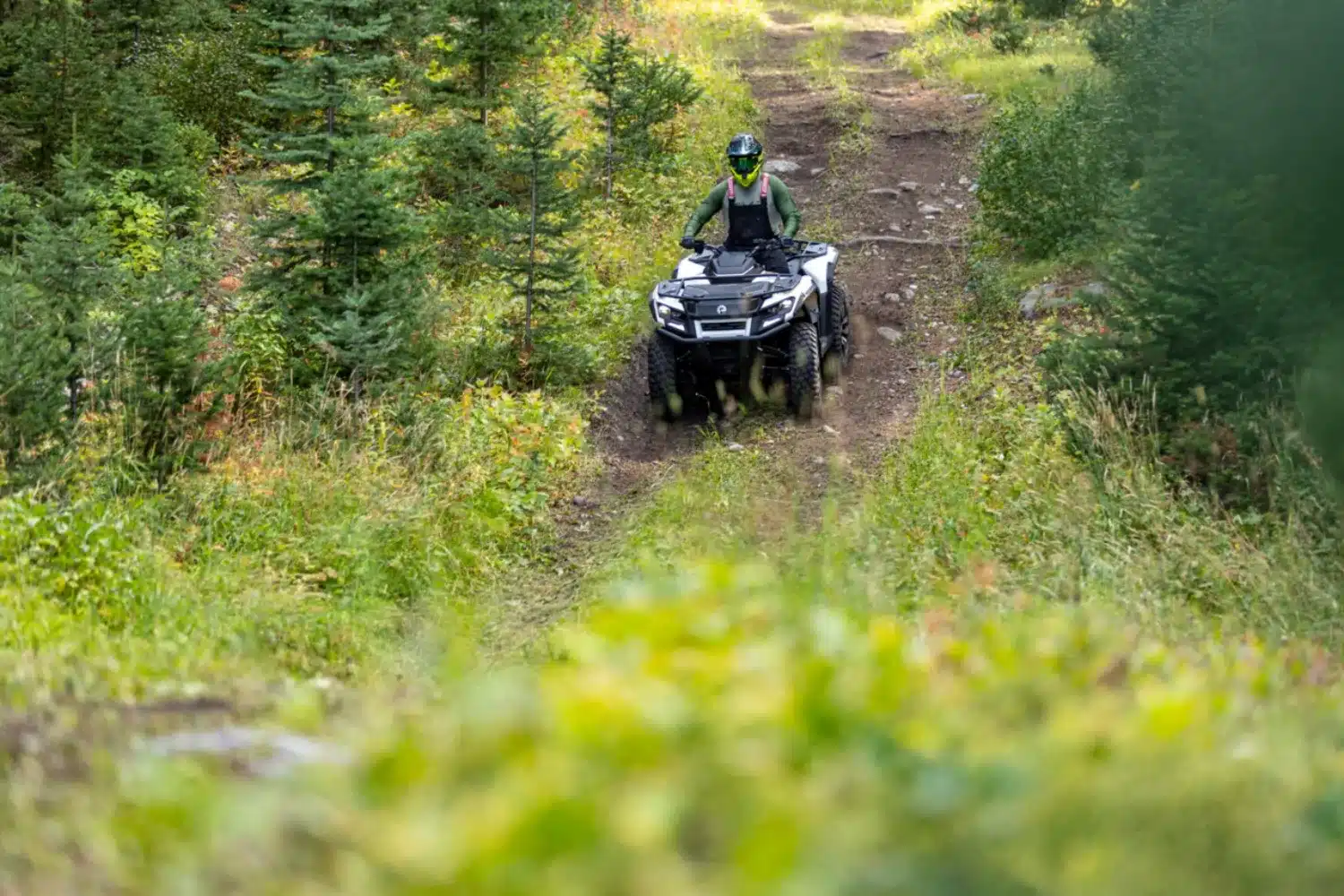 Photo 9 – grande taille