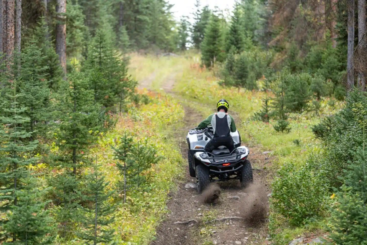 Photo 9.1 – grande taille