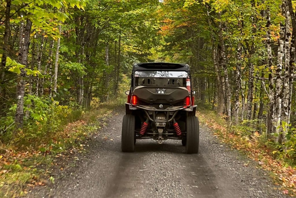 Photo 11 – grande taille