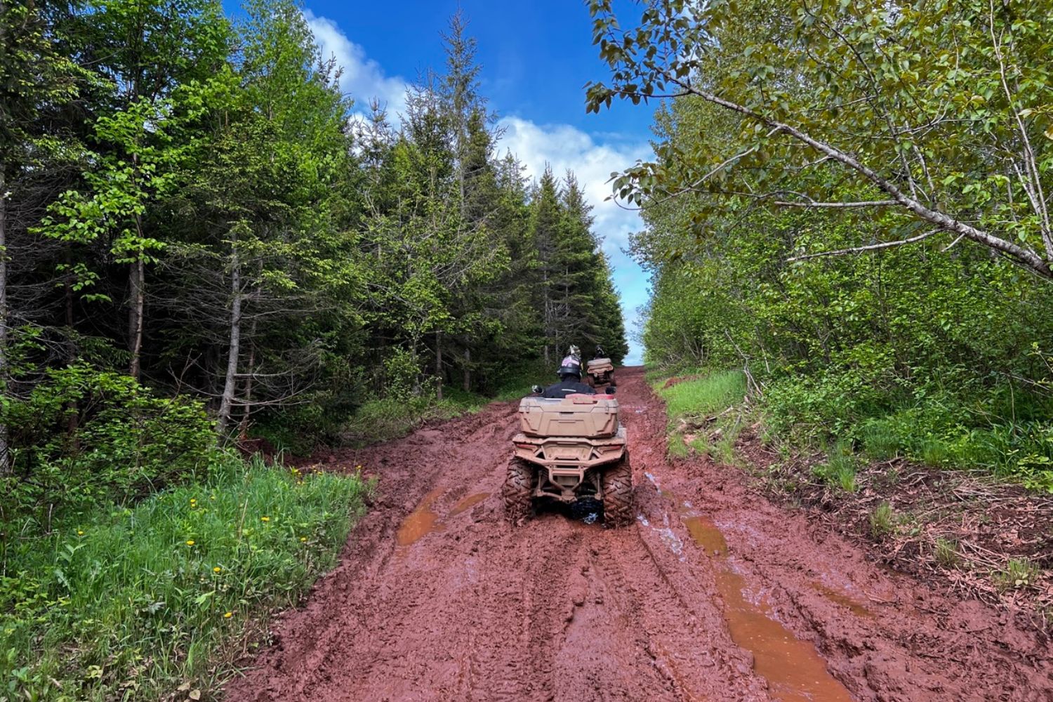 Un sol organique est vulnérable au poids des véhicules