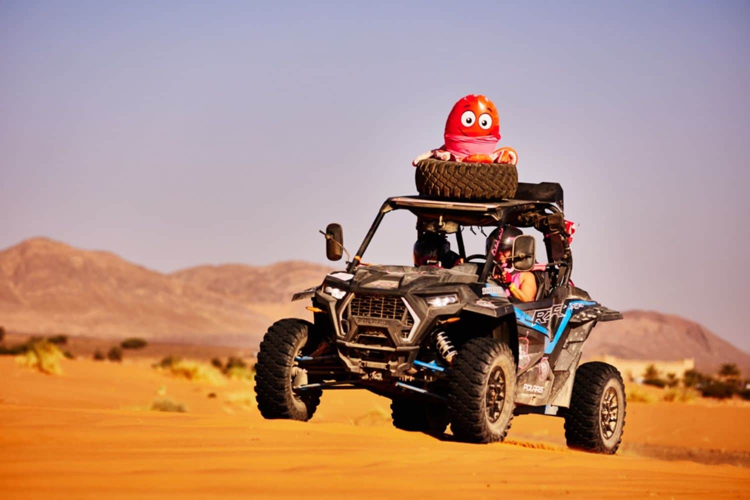 Octo, bien en place sur le toit, est devenue la mascotte de l’équipe 401