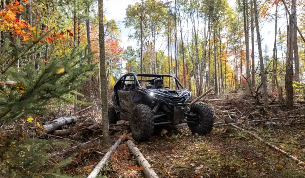 Photo 18 – grande taille