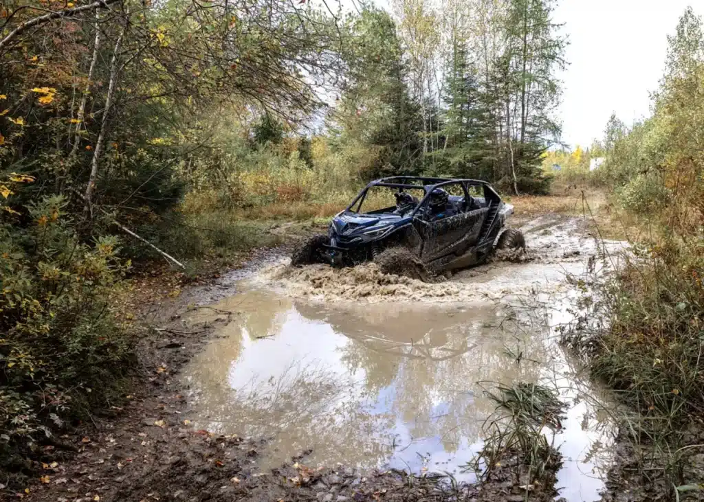 Photo 18.5 – grande taille