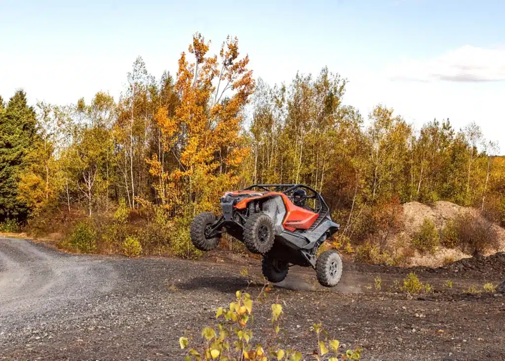 Photo 8.5 – grande taille